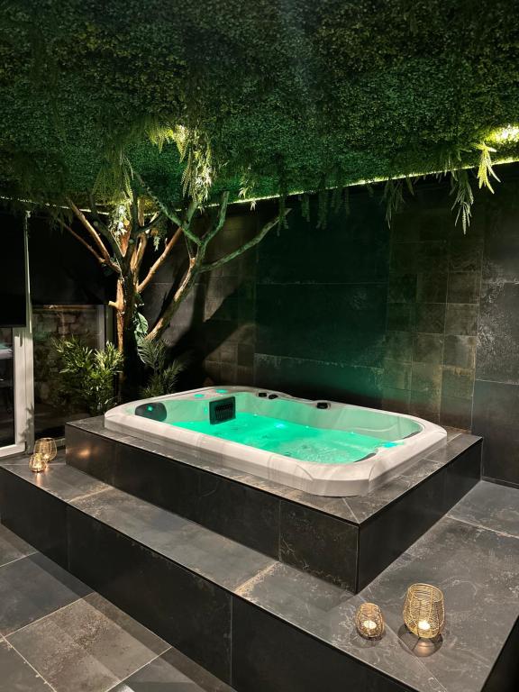 a jacuzzi tub with a tree in the background at Suite Marie in Verviers