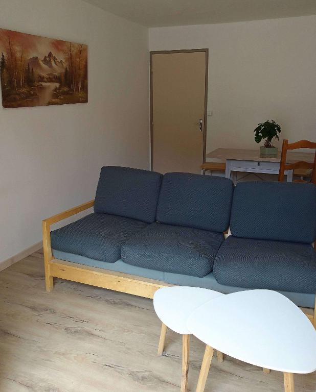 Le lion d'or dans le 66 - Twee Slaapkamers Appartement