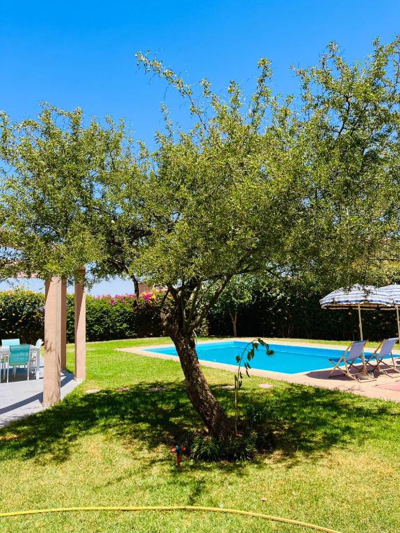 a tree in the grass next to a swimming pool at Villa Kimia Elfeige in Marrakesh
