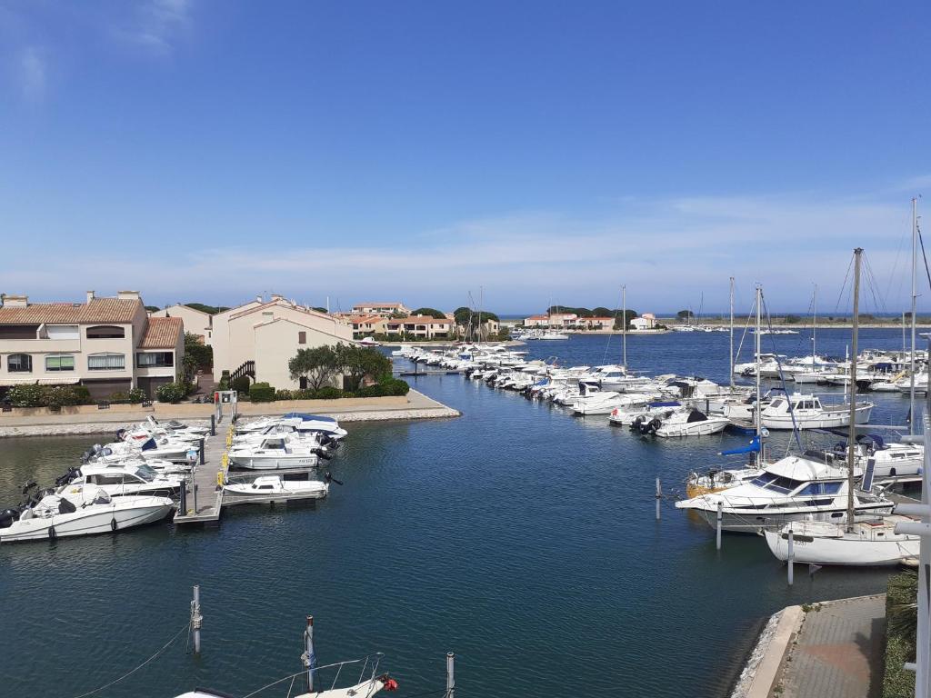 un groupe de bateaux amarrés dans un port dans l'établissement Appartement T2 mezzanine avec piscine., à Saint-Cyprien