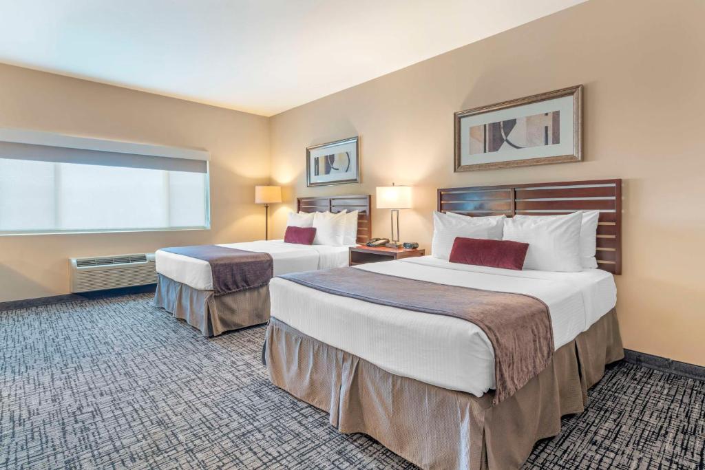 Best Western Plus Bayside Hotel - Camera Queen Con Due Letti Queen - City View