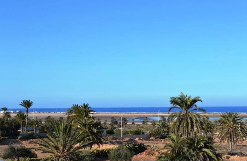 a view of a beach with palm trees and the ocean at Laguna in Taguermess