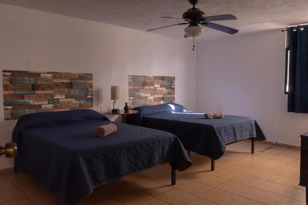 - une chambre avec 2 lits et un ventilateur de plafond dans l'établissement Estancia Mixtecas, à León