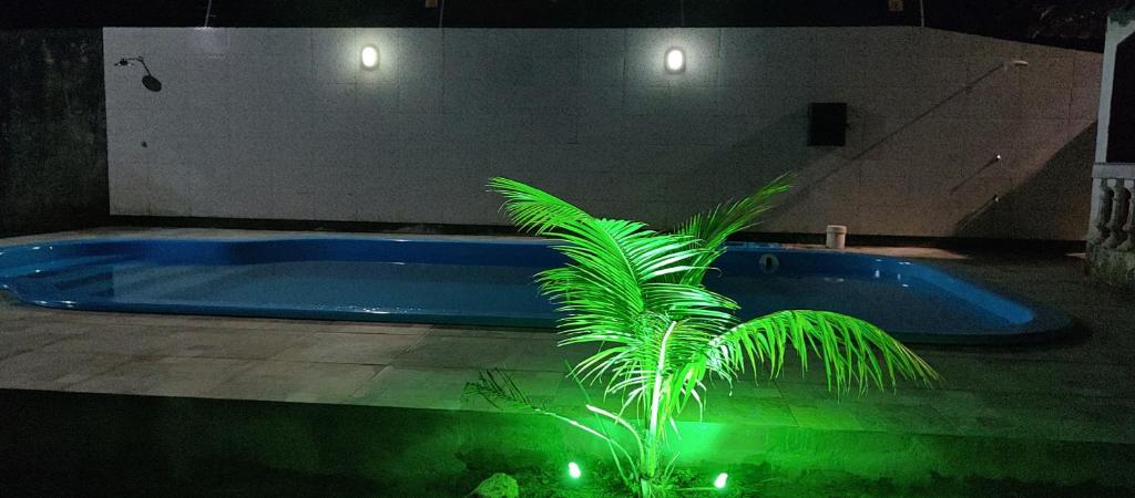 uma planta em frente a uma piscina em Casarão Farol da Marise Sol em Belém