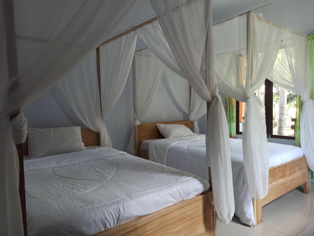 Tangkoko Jungle Homestay - Habitación Gemela