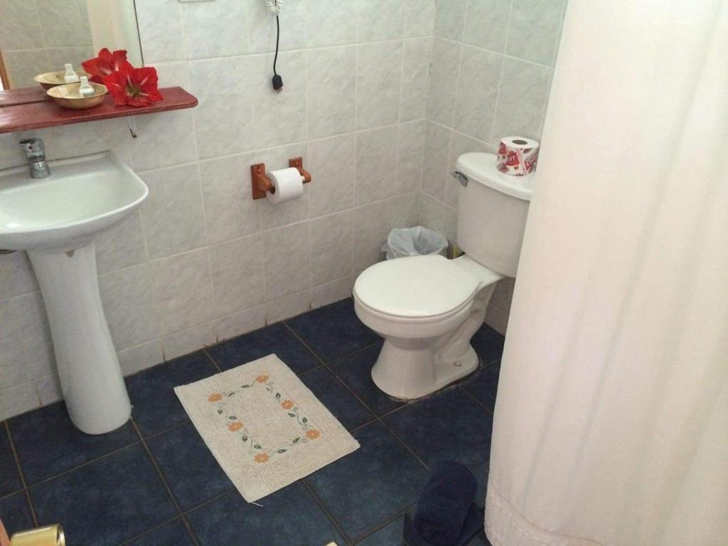 a bathroom with a toilet and a sink at Atavai Hotel Rapa Nui in Hanga Roa