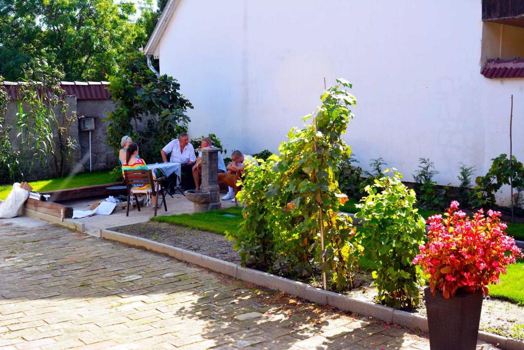 Vonkajšia záhrada v ubytovaní Lisbet Cottage
