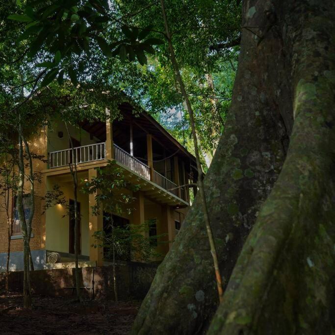 une maison jaune avec un balcon dans une forêt dans l'établissement Weralugama Forest House, 