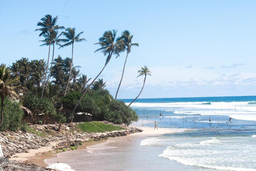 einen Strand mit Palmen und Menschen, die im Meer spielen in der Unterkunft Marshmellow Beach Rooms - Sri Lanka in Ahangama