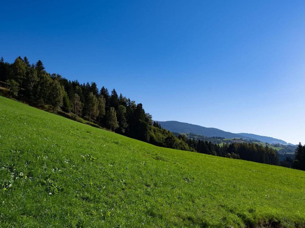 Příroda nedaleko apartmánu