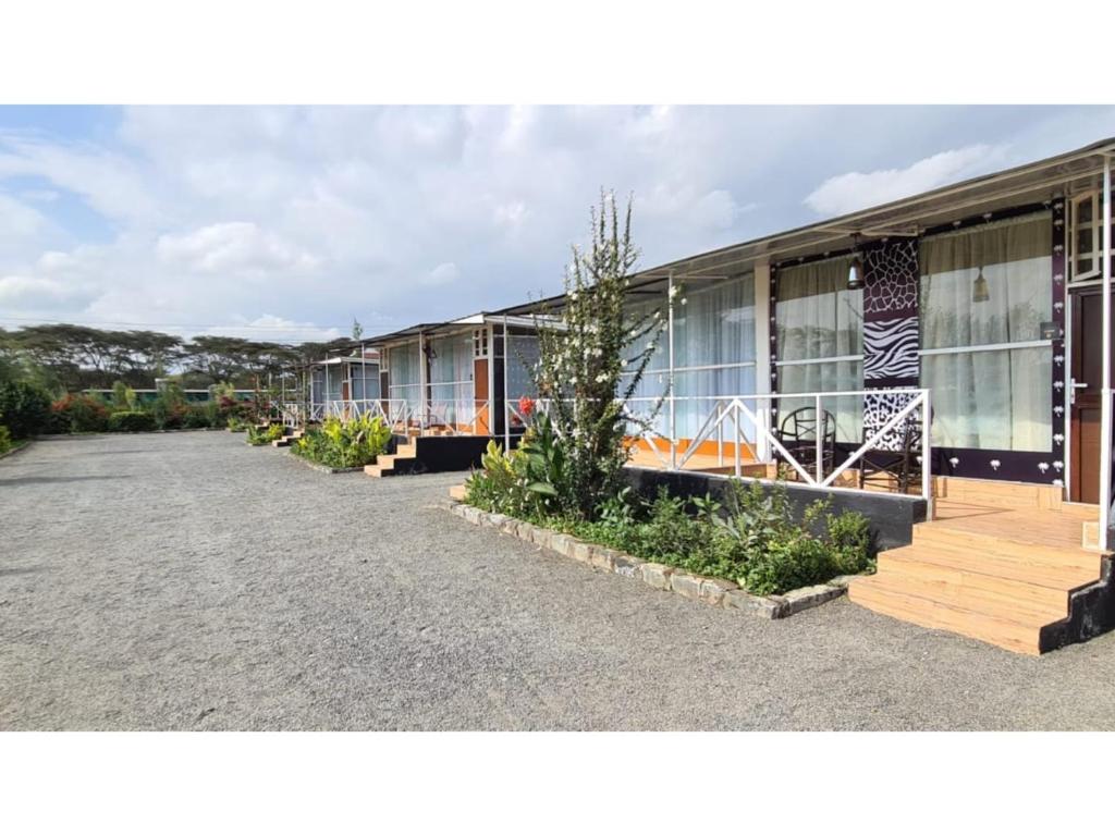 una fila de casas con plantas delante de ellas en Boffar Cabin 6, en Naivasha