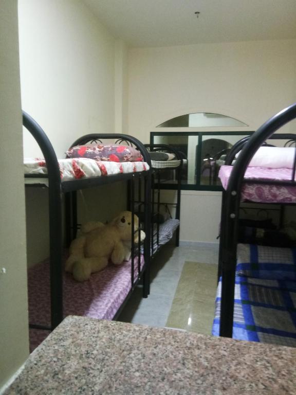 a room with three bunk beds with a teddy bear on the floor at Dubai naif street Al nakhal in Dubai