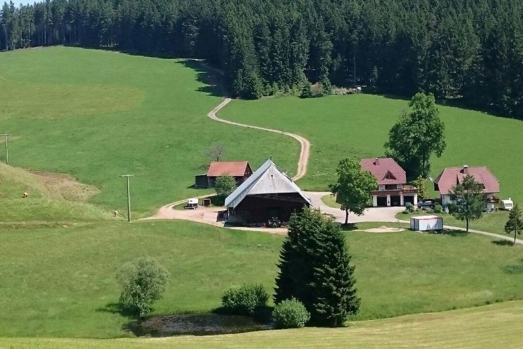 uma vista aérea de uma casa num grande campo verde em Oberengenbachhof em Eisenbach