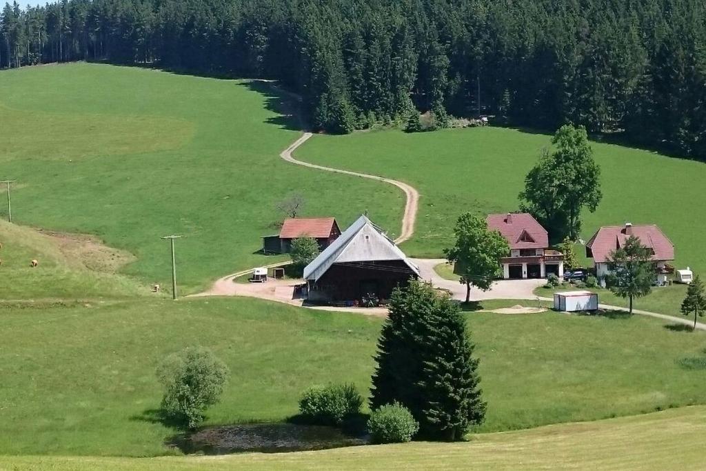 Vue aérienne d'une maison sur un grand champ verdoyant dans l'établissement Oberengenbachhof, à Eisenbach