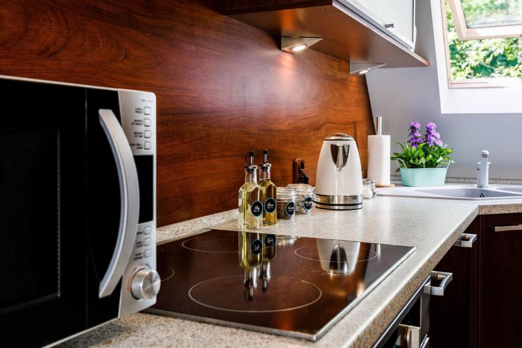 Kuchyň nebo kuchyňský kout v ubytování Rent like home - Bulwary II