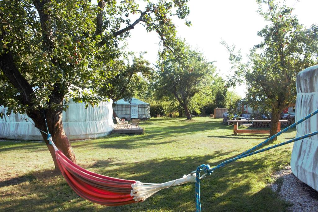 una hamaca atada a un árbol en un patio en Jurty v Sadu en Český Brod