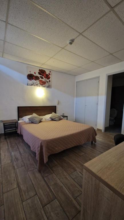 a bedroom with a large bed in a room at Hôtel du Nord in Cannes