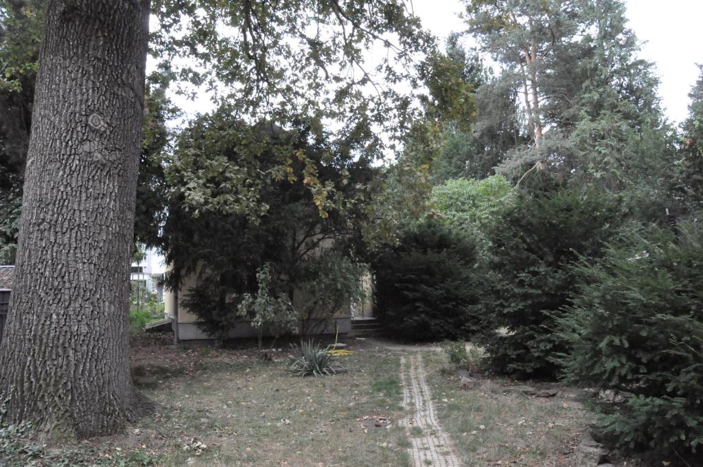 Jardí fora de House near to Schönbrunn - Free Parking - 24-7 Check in - 8 Person