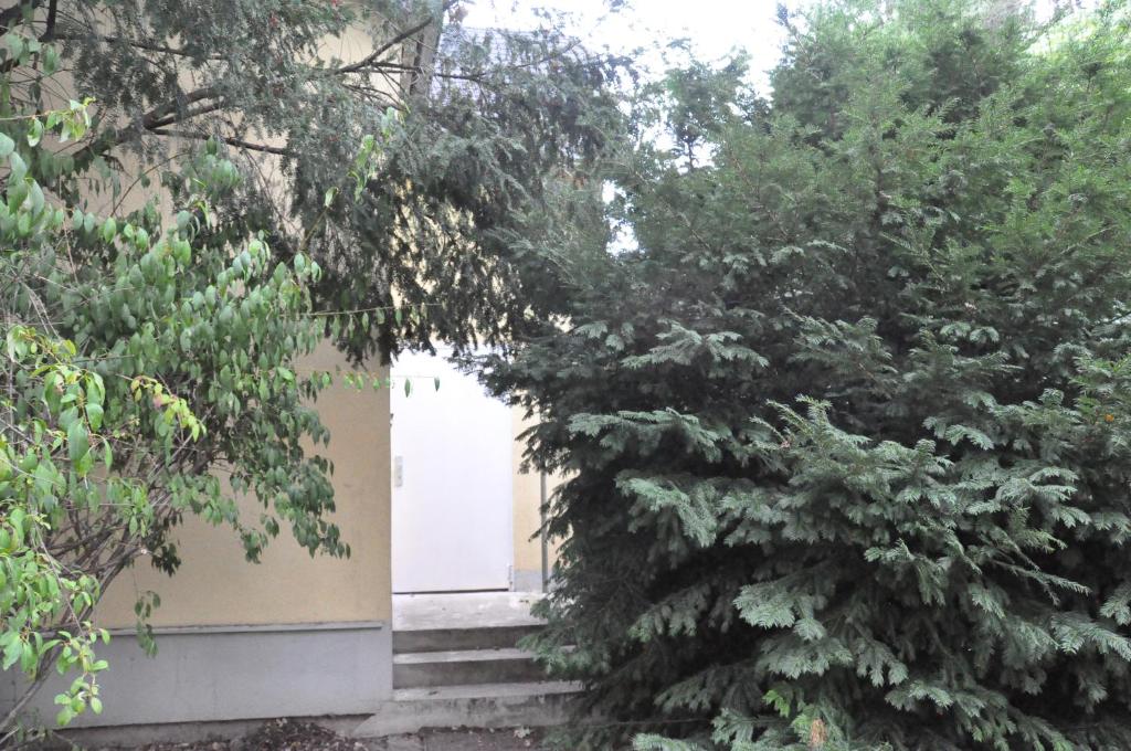 Jardí fora de House near to Schönbrunn - Free Parking - 24-7 Check in - 8 Person