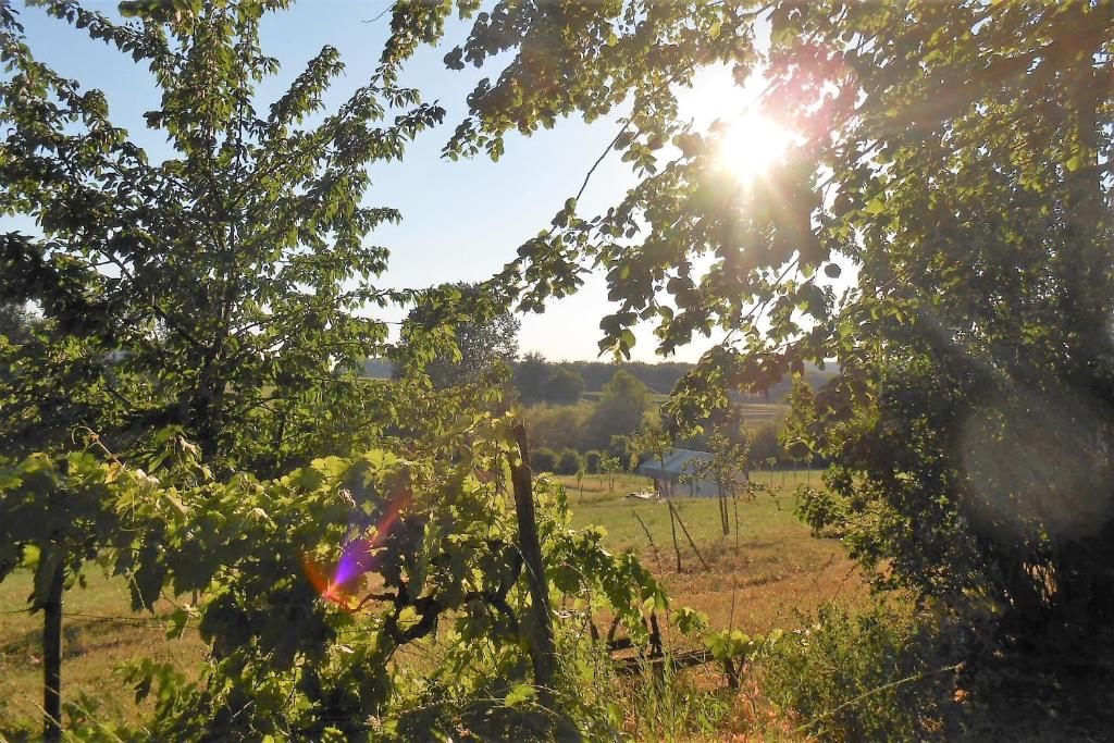 Tente Safari à TournonZen ~ retour vers la nature - Carpa