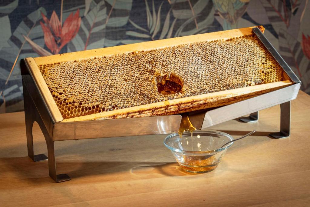 Best Western Plus Hotel De La Regate-Erdre - Resim 4