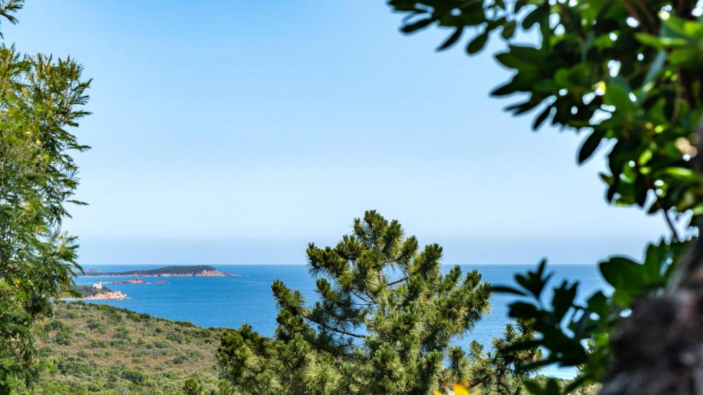 a view of the ocean from a tree at Camping U Pirellu in Porto-Vecchio