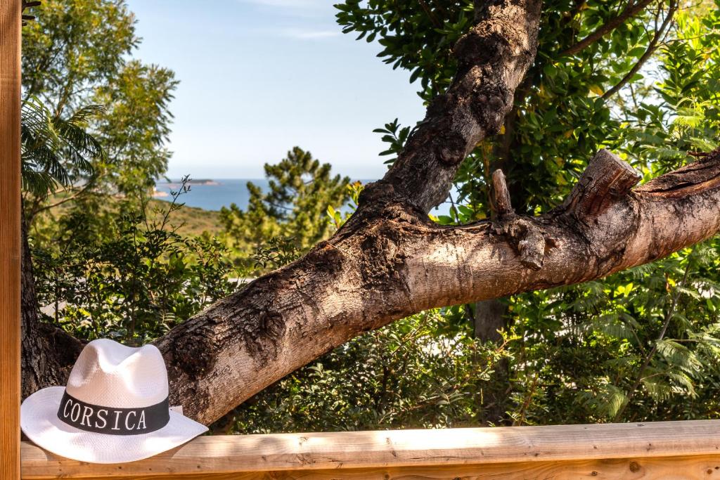 a tree with a cowboy hat sitting on a fence at Camping U Pirellu in Porto-Vecchio