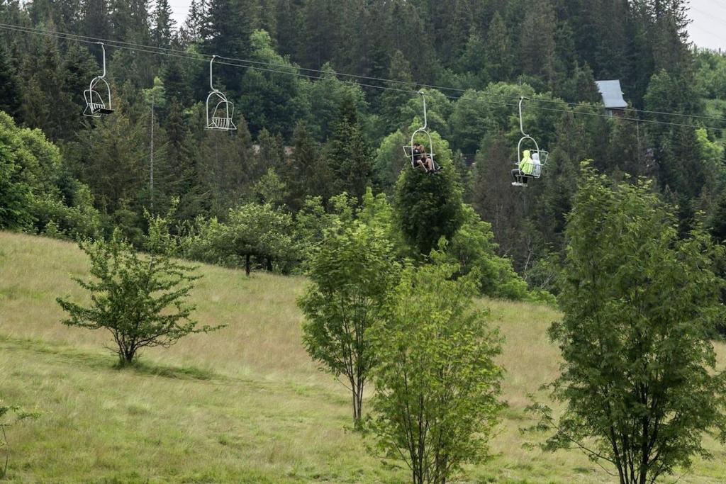 Příroda nedaleko apartmánu