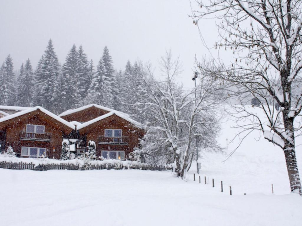 a house covered in snow in front of trees at Holiday Home Nikola by Interhome in Flachau