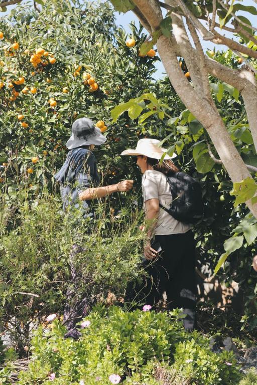 Hosté ubytování Ecofinca Selva Doramas