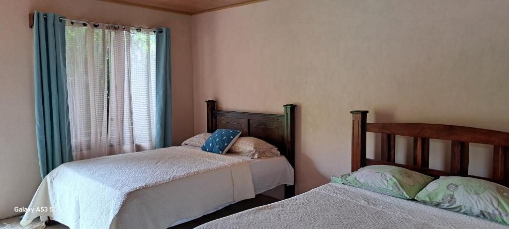 ビハグアにあるBijagua paradise Río Celesteのベッドルーム1室(ベッド2台、窓付)