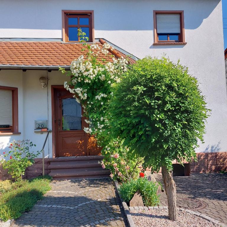 a house with a tree in front of a door at Wolfi in Sankt Wendel