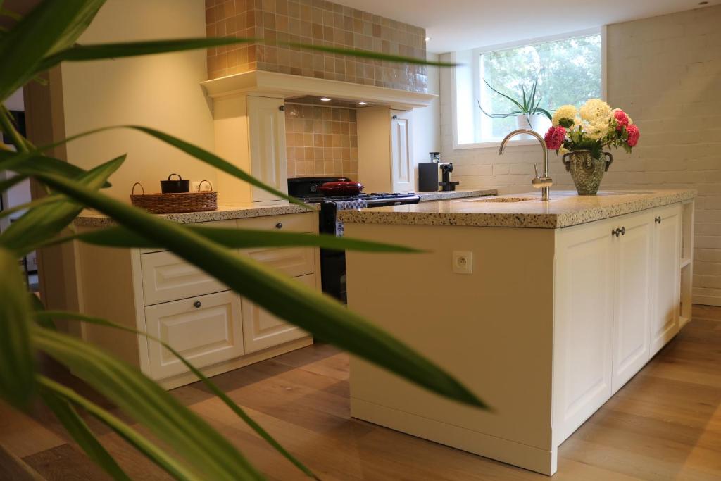 Köök või kööginurk majutusasutuses Rustiek vakantiehuis in 't groen