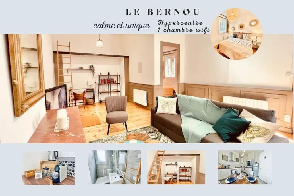 een collage van foto's van een woonkamer met een bank bij Le Bernou : Hypercentre- calme et unique! in Saint-Étienne