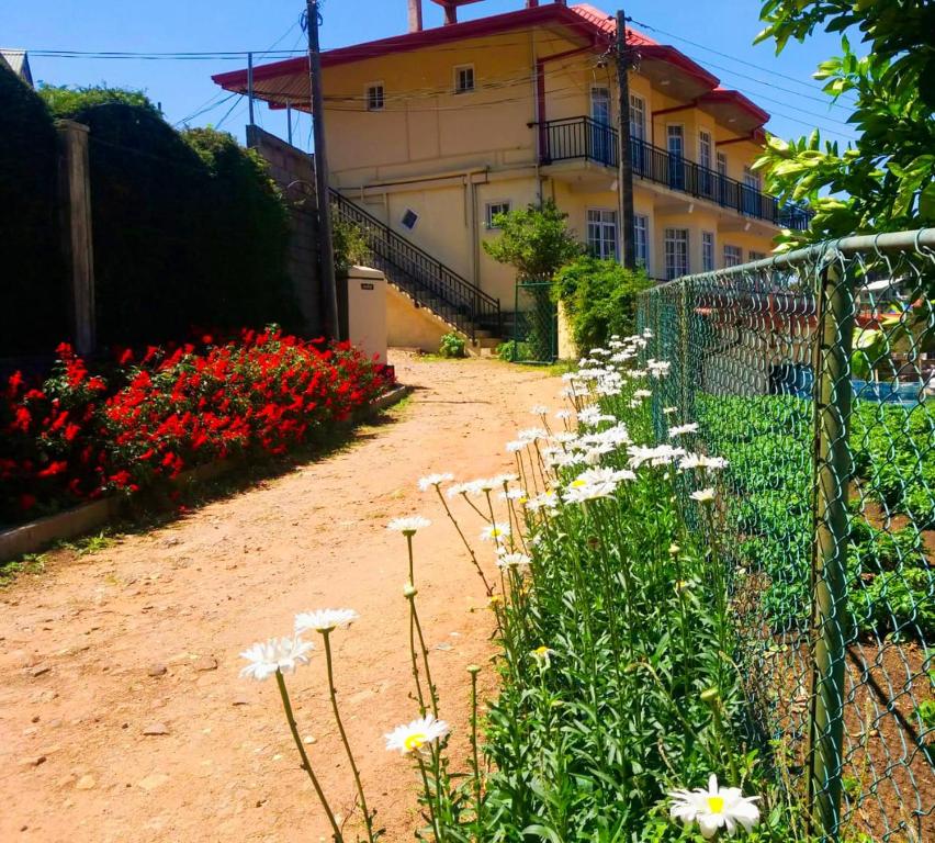 Giardino di Shevyhaws