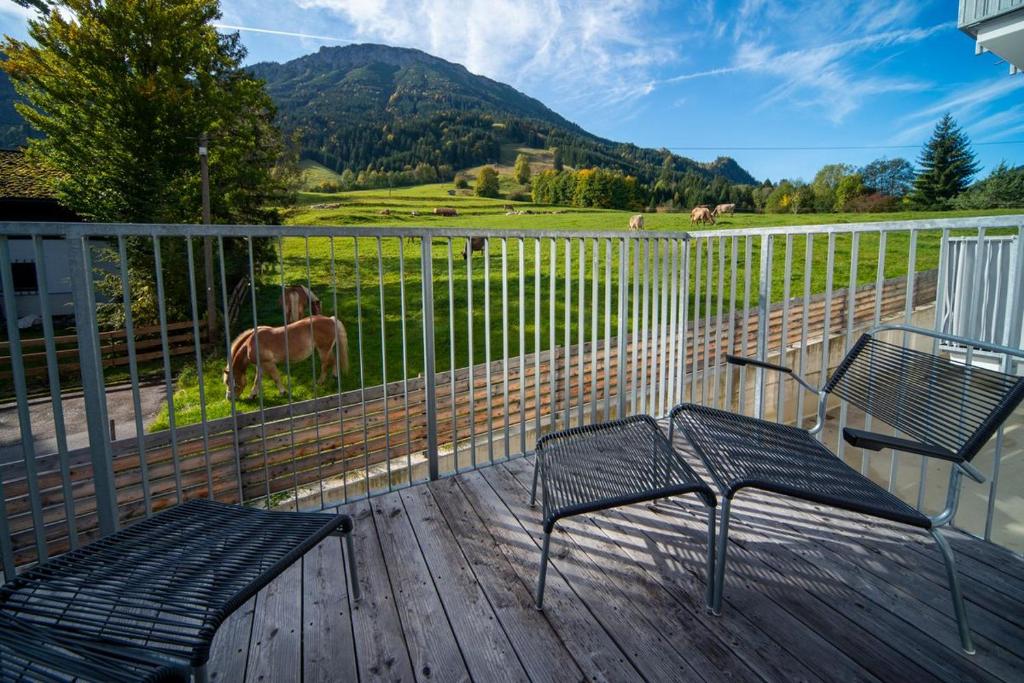 um deque com duas cadeiras e um cavalo num campo em Chalet am Breitenberg em Pfronten