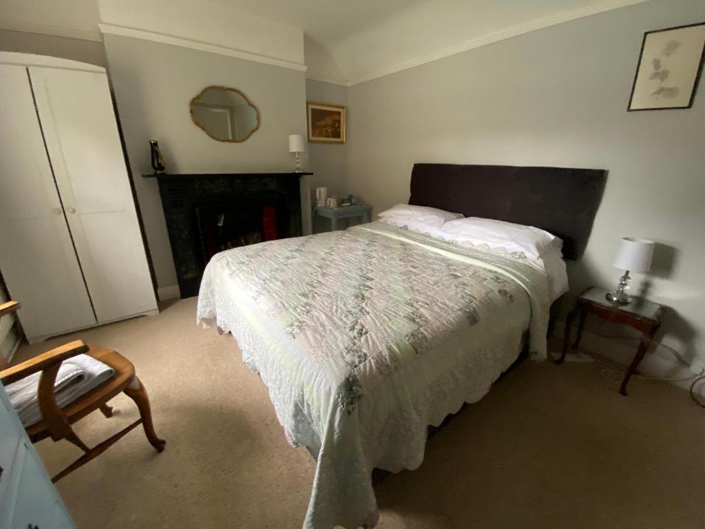 a bedroom with a large bed and a fireplace at St Jude's Bed & Breakfast in Dersingham