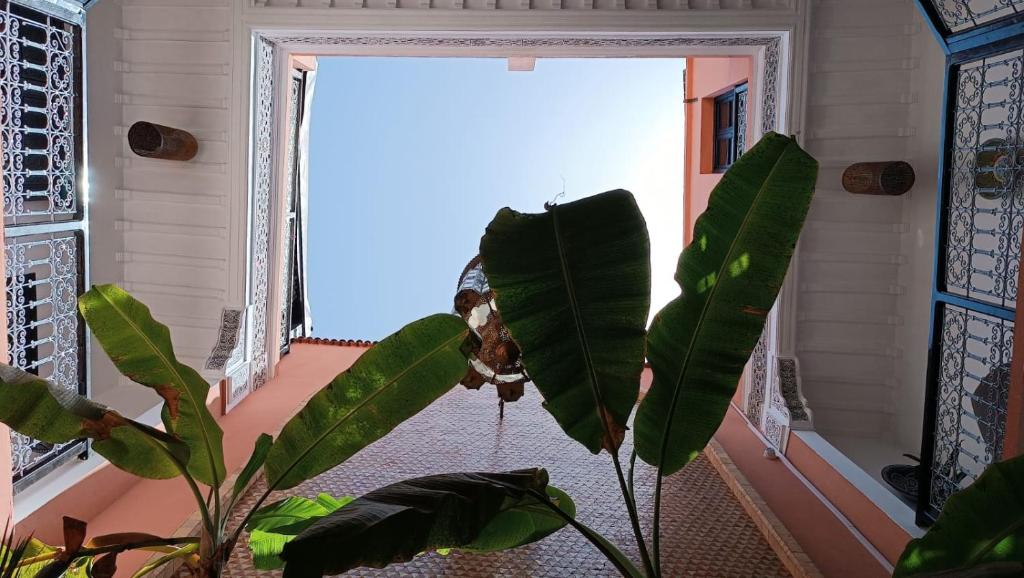 Fotografie z fotogalerie ubytování Riad Hugo v Marrákéši