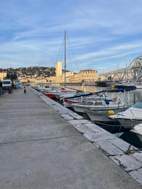un groupe de bateaux est amarré dans un port dans l'établissement Appartement T2, climatisé, wifi, parking et piscine privés, à Sète