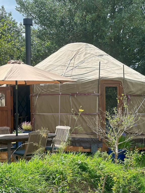 a yurt with two chairs and a table and an umbrella at The Yurt @ Penbanc Pasture in Cardigan