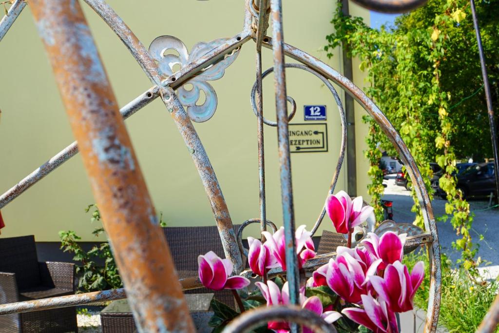 Zahrada ubytování Hotel Hudelist