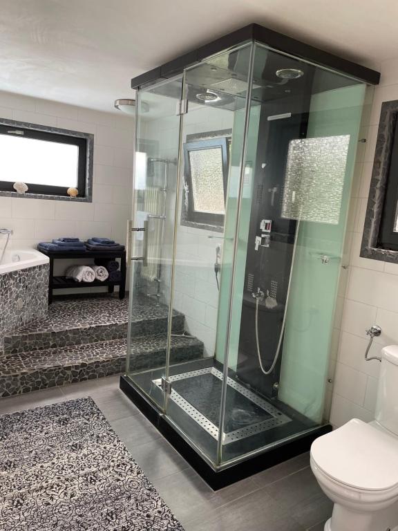 La salle de bains est pourvue d'une douche en verre et de toilettes. dans l'établissement Amster Houseboat Bed without Breakfast, à Amsterdam