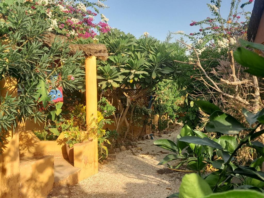 un jardin avec de nombreuses plantes et un poteau jaune dans l'établissement Campement Baobab, à Poponguine