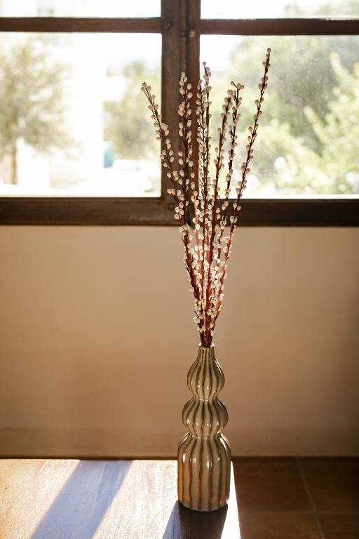 Fotografie z fotogalerie ubytování CAN NOVES - Villas de 4 suites 52 y 35 v destinaci Sant Francesc Xavier