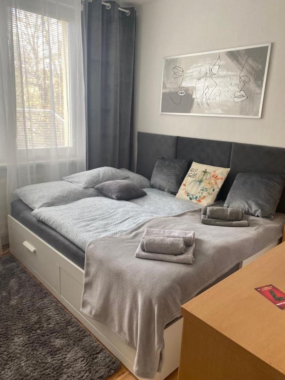 Postel nebo postele na pokoji v ubytování Apartmán Nitra