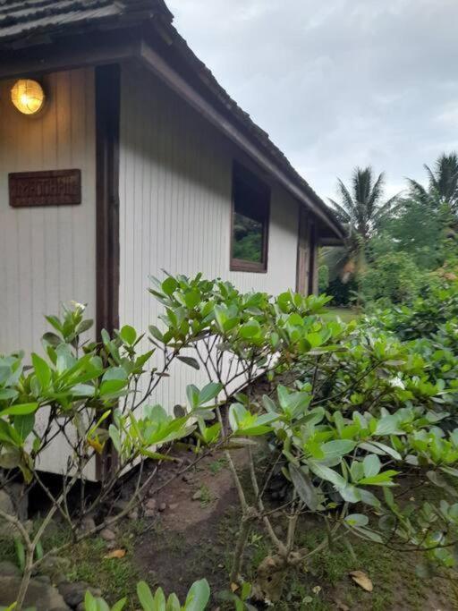 TAHAUKU VALLEY 1, Atuona - photo 7 - Hiva Oa, Polynésie