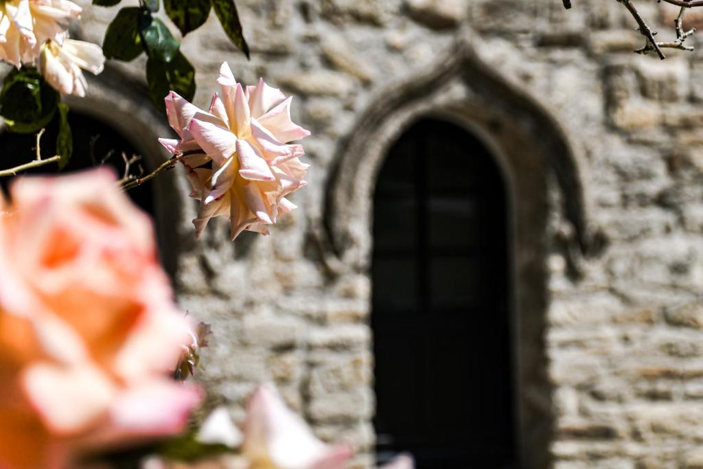 Fotografie z fotogalerie ubytování Le Manoir de Menglieu v destinaci Treffléan