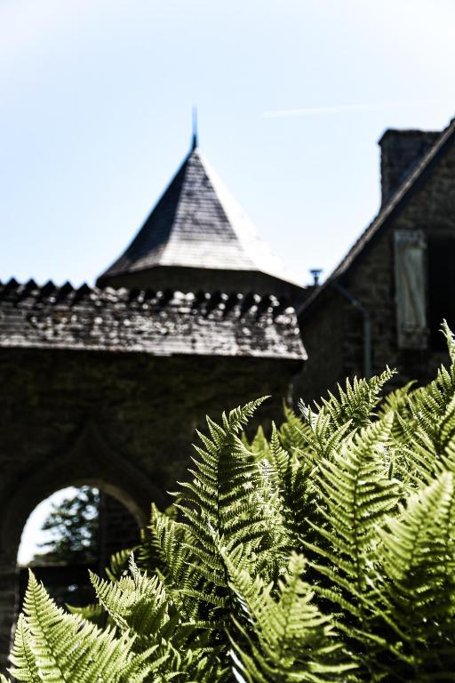 Fotografie z fotogalerie ubytování Le Manoir de Menglieu v destinaci Treffléan