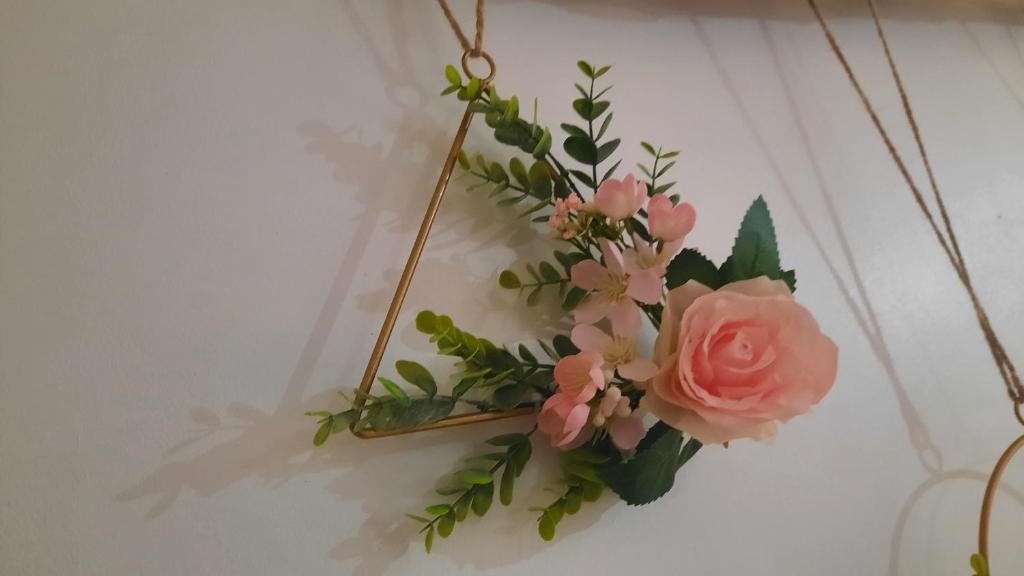 Ana Paula House - 14