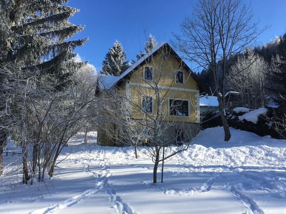 une maison jaune dans la neige avec des arbres dans l'établissement Familien-Apartment in kleiner Waldvilla Semmering, 